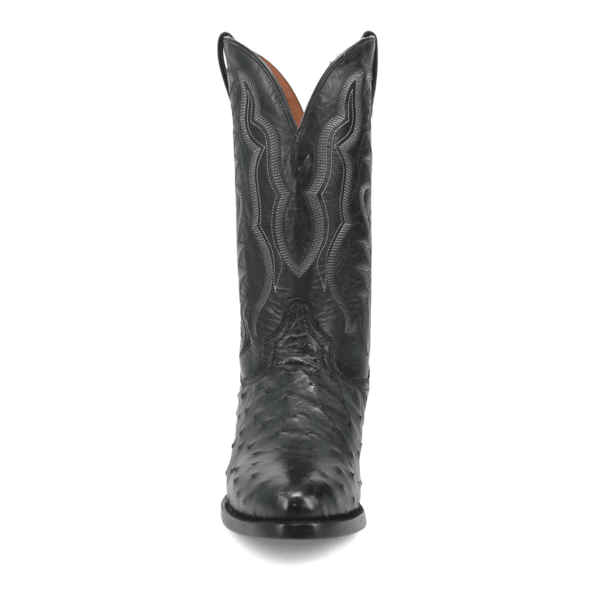 tempe full quill ostrich front angle