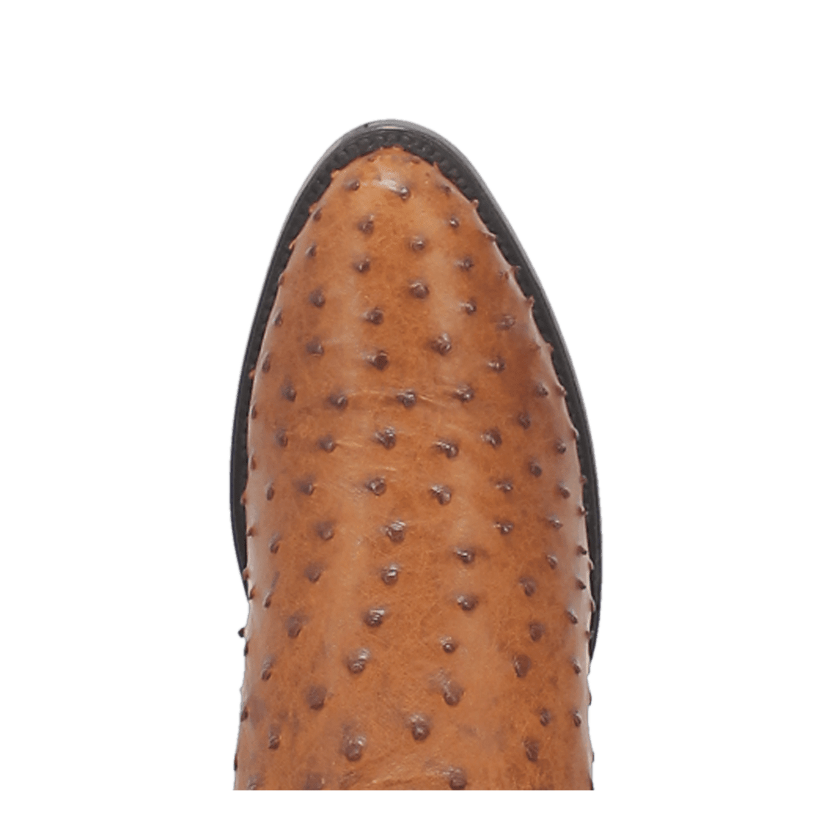 tempe full quill ostrich boot toe angle