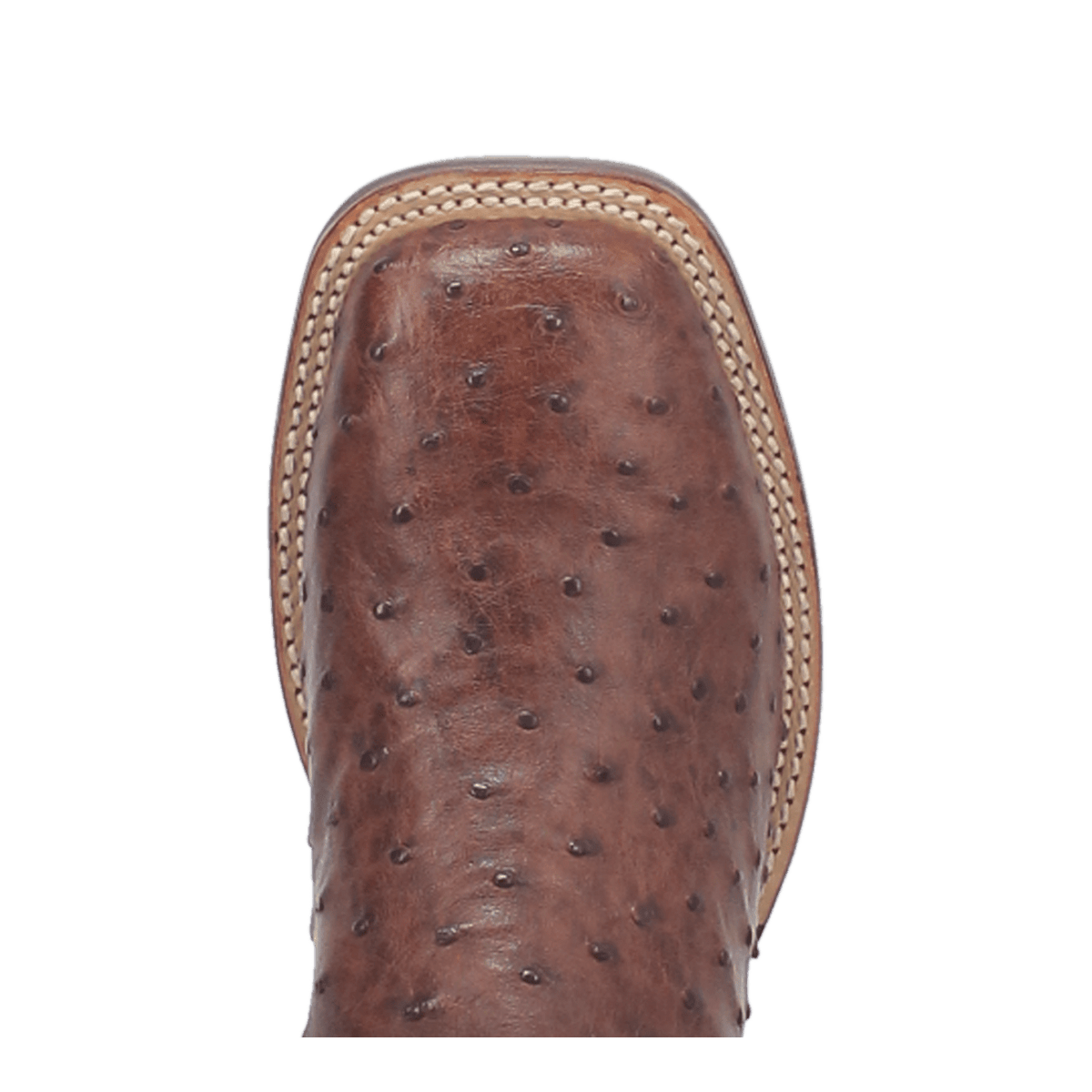 alamosa full quill ostrich boot toe angle