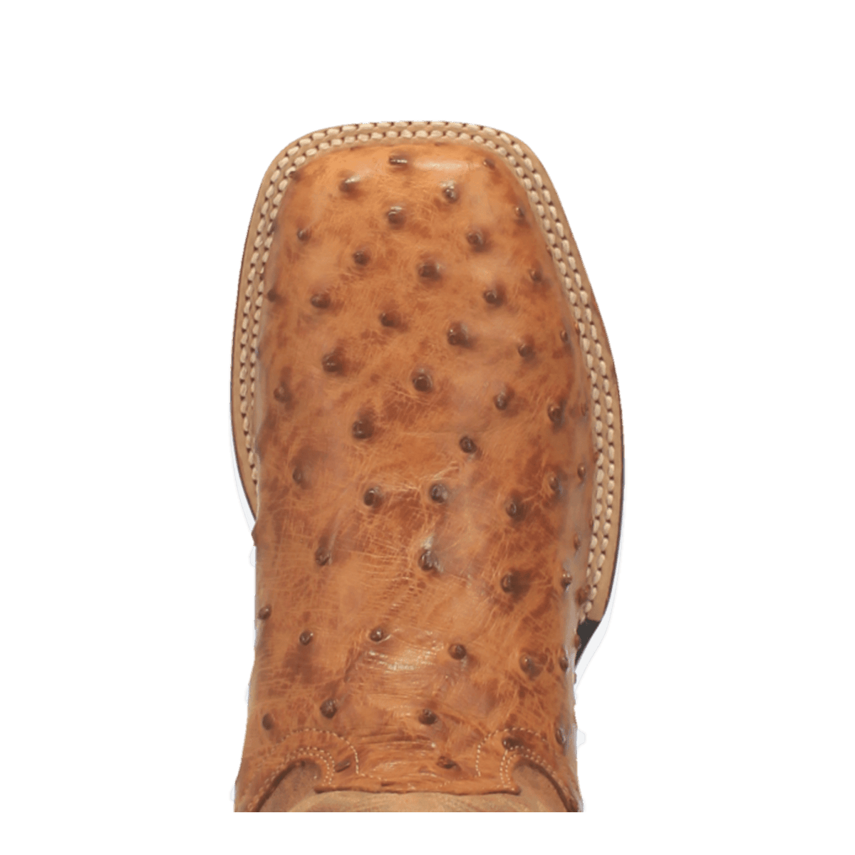 alamosa full quill ostrich boot toe angle