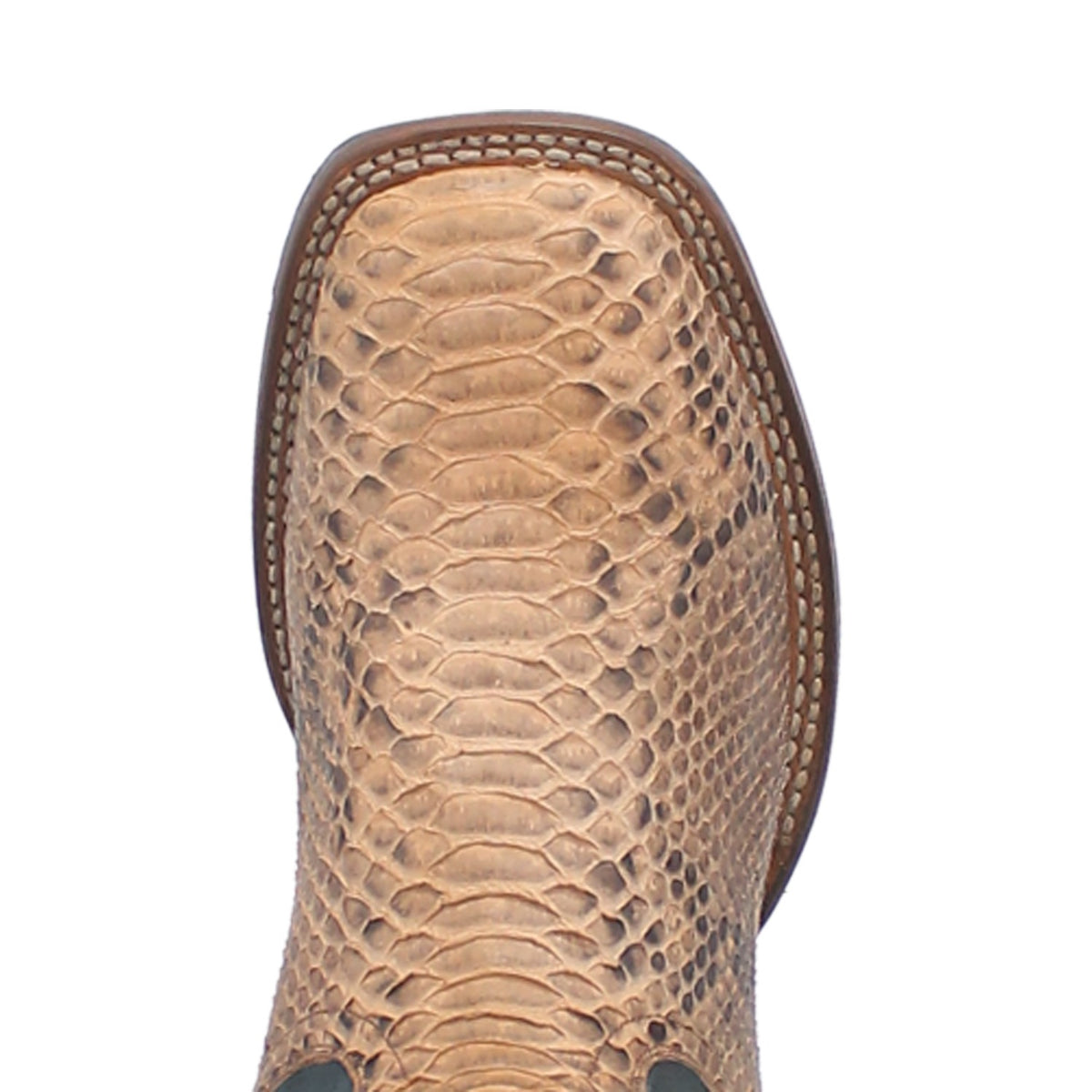 angle 6, templeton python boot