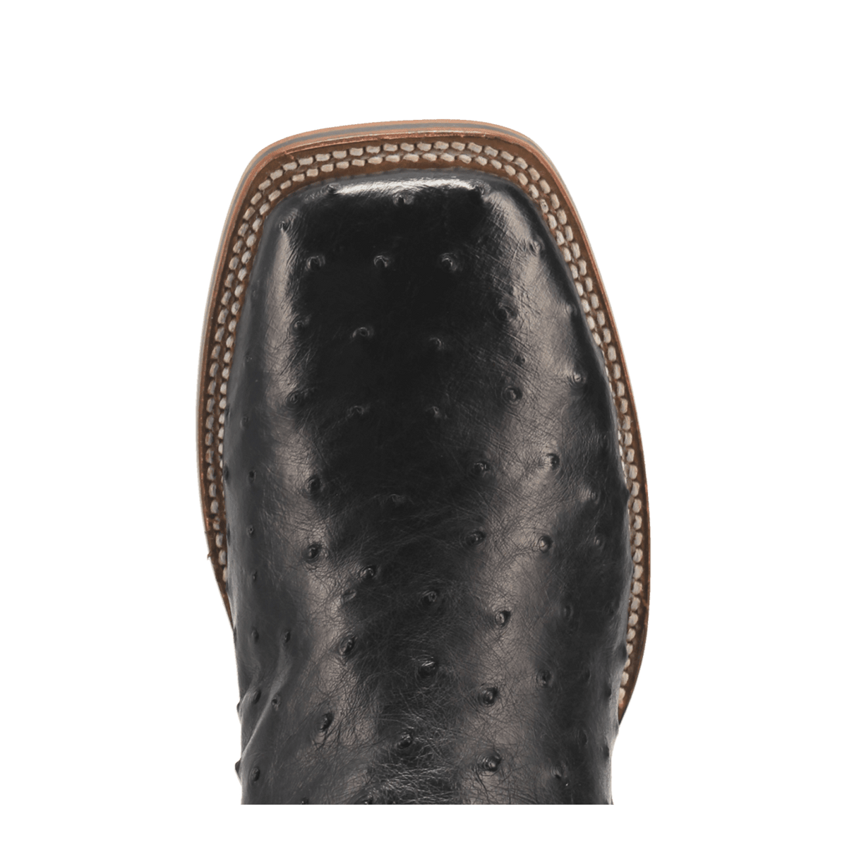 alamosa full quill ostrich boot toe angle