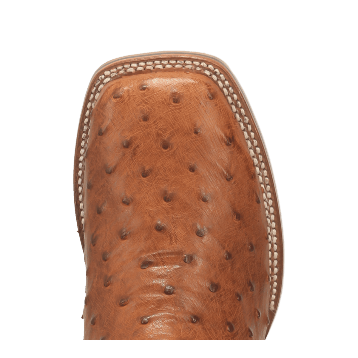 alamosa full quill ostrich boot toe angle