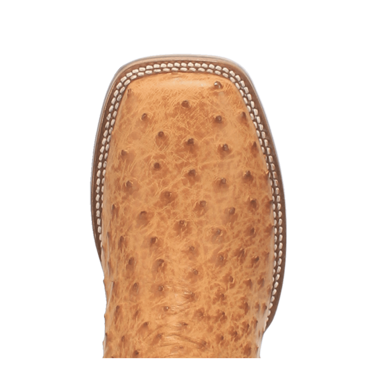 kershaw full quill ostrich boot toe angle