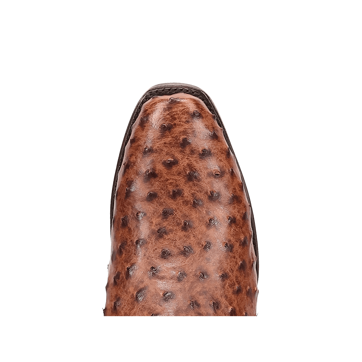 marco full quill ostrich boot toe angle