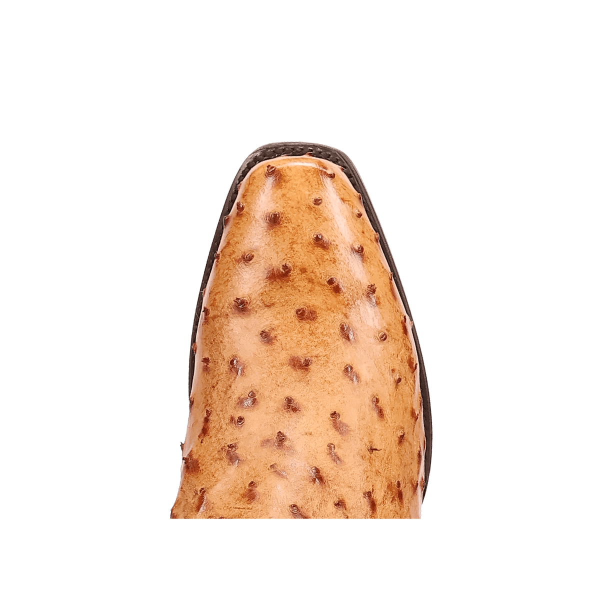 marco full quill ostrich boot toe angle