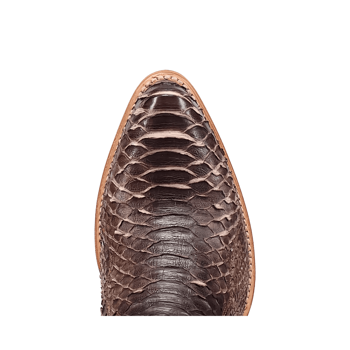 stryke back cut python boot toe angle