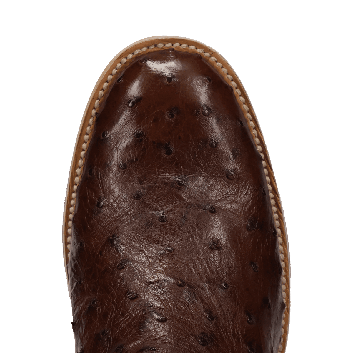 ardor full quill ostrich boot toe angle