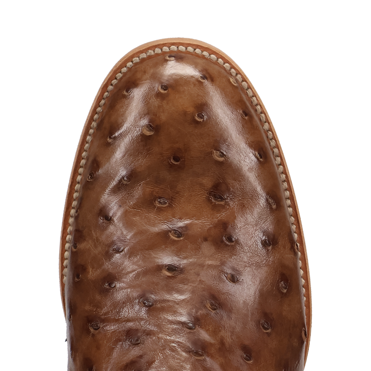 ardor full quill ostrich boot - dan post boots
