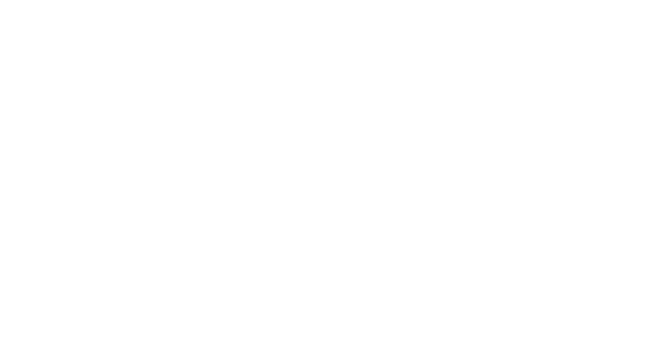 Dingo1969