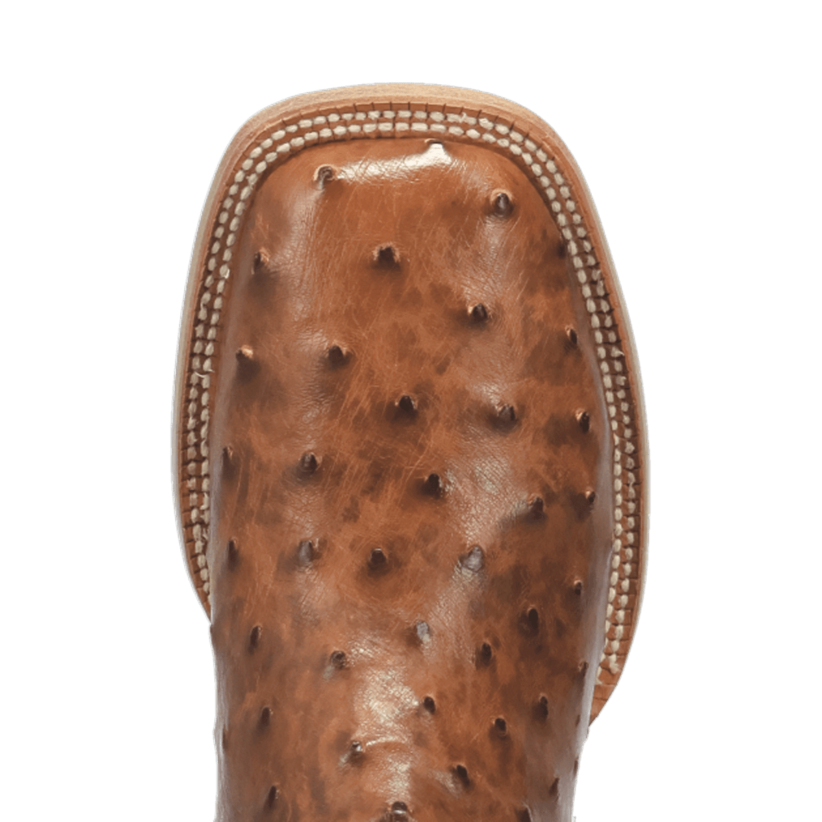 brannan full quill ostrich boot - dan post boots