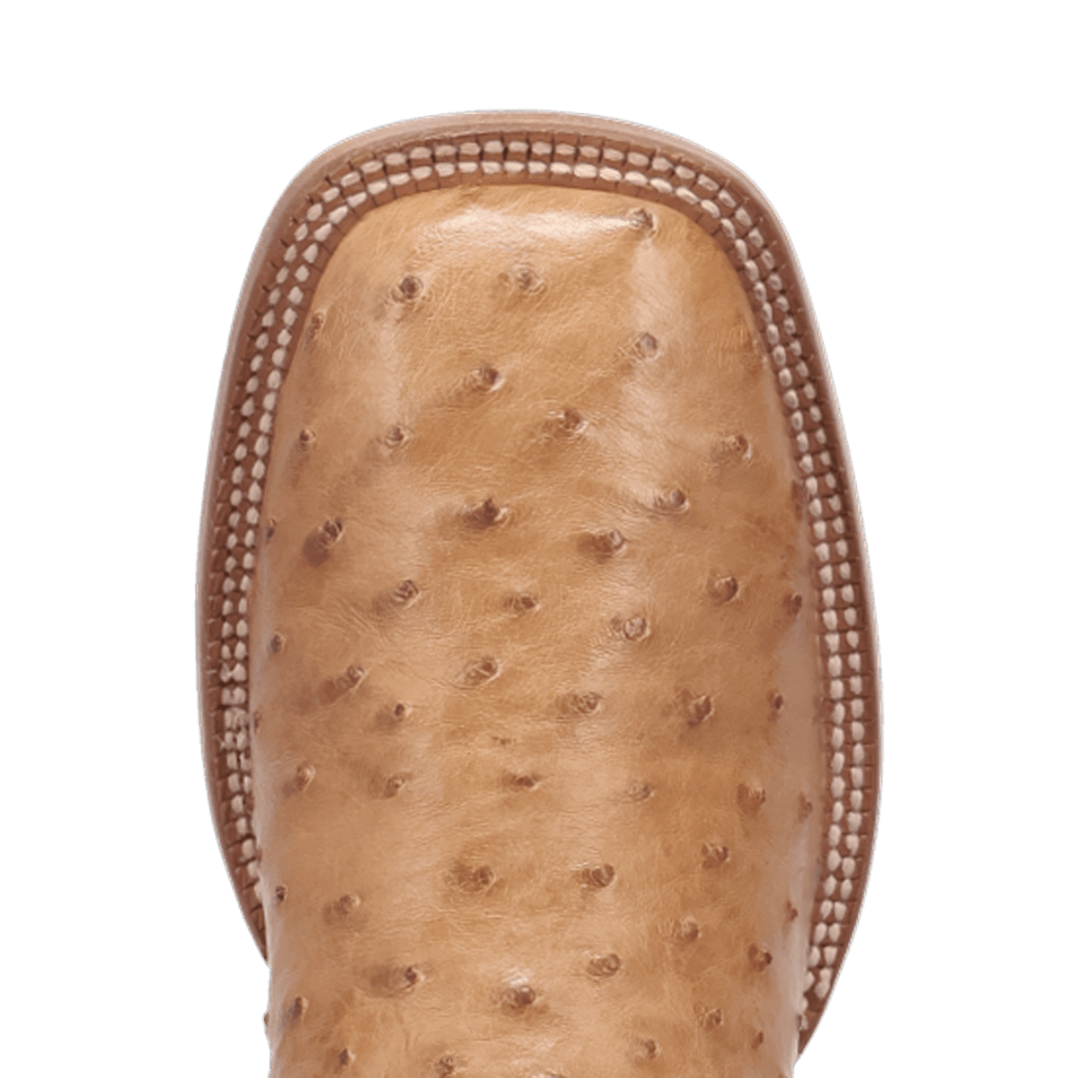 brannan full quill ostrich boot - dan post boots