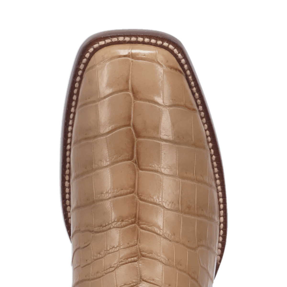sutter nile crocodile boot - dan post boots