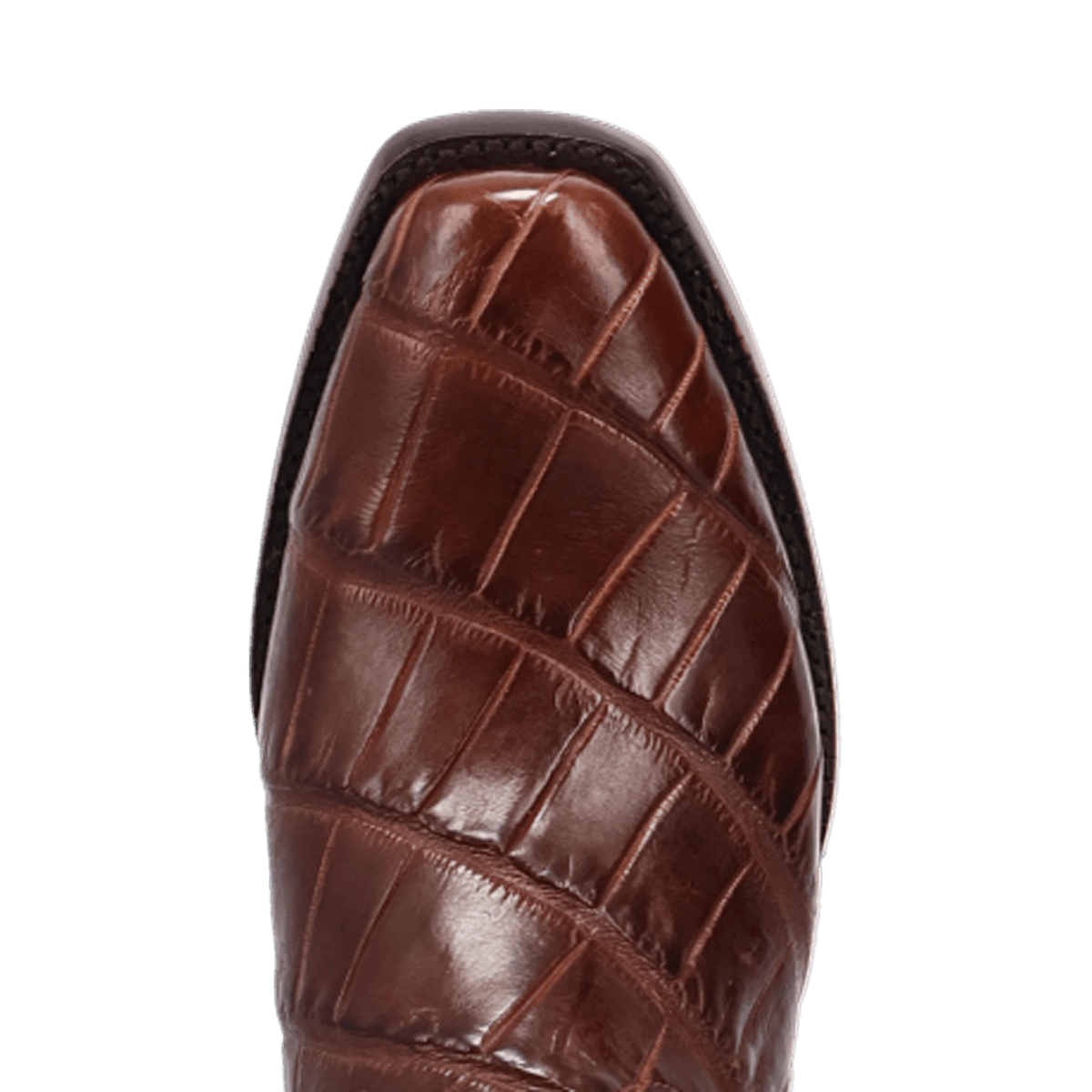 delano american alligator boot - dan post boots
