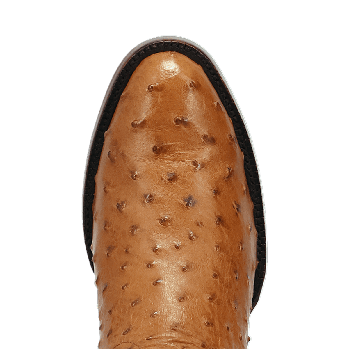 stanford full quill ostrich boot - dan post boots