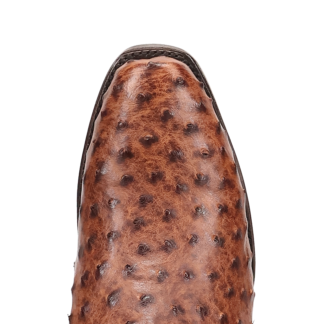 marco full quill ostrich boot - dan post boots