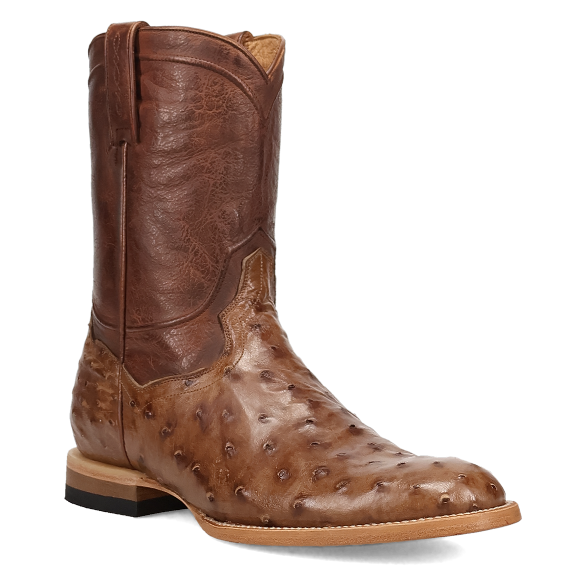 ardor full quill ostrich boot - dan post boots